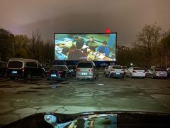 -枫花园汽车电影院(朝阳公园店)