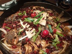 -老板恋上鱼(高新万达店)