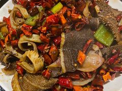 -福苗小骆驼烧烤(大唐不夜城店)