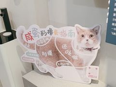 -伟伟宠物医院·CT影像中心·瑞派犬猫综合性门诊(汉口总院)