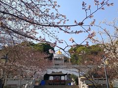 -苏州上方山国家森林公园