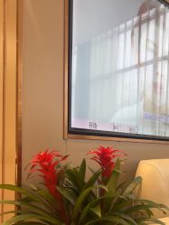 -杭州米兰柏羽医疗美容医院