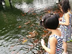 -华雅花园大酒店