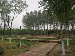 -东郊湿地公园