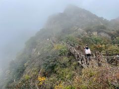 -大岭沟猕猴桃谷风景区