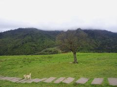 -硗碛藏寨·神木垒景区