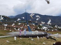 -瓷天下海丝谷