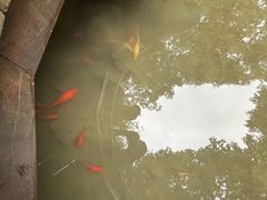 -云丘山景区