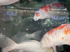 -成都浩海立方海洋公园