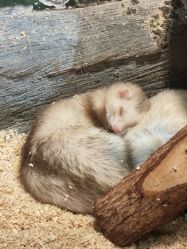 -Zoolung Zoolung动物主题公园(海信广场店)