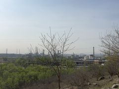 -白水寺森林公园