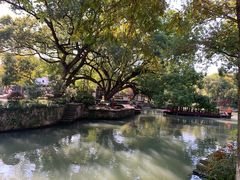 -西溪国家湿地公园