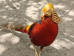 -水上乐园·欢乐世界