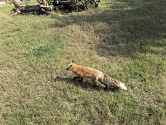 -祥源·阜阳生态乐园