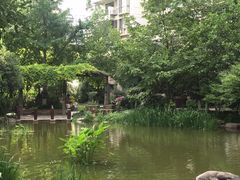 -新湖明珠城