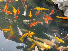 -西林禅寺