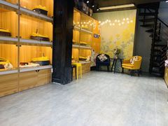 -欣宠猫屋·矮脚拿破仑·蓝金金渐层