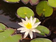 -午潮山国家森林公园