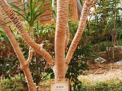 -九天休闲谷