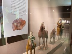 -西安大唐西市博物馆