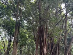 -南宁南湖公园