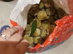 -周洛大峡谷