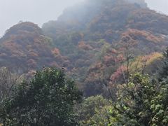 -秦岭终南山世界地质公园翠华山景区