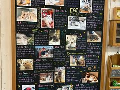 -小时光咖啡馆(开森度假森林店)