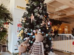 -ins森林童话餐厅coffee&bistro