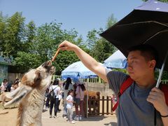 -西安秦岭野生动物园