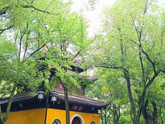 -西园戒幢律寺