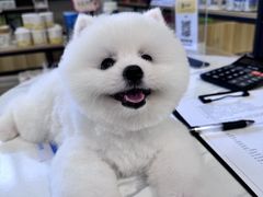 -时间仓(月湖公园店)