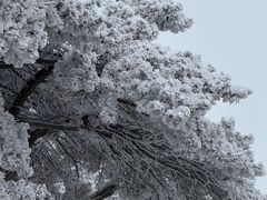 -安吉龙王山风景区