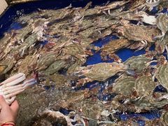 -高佳庄·舟山海鲜(海景旗舰店)