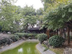 -绳金塔