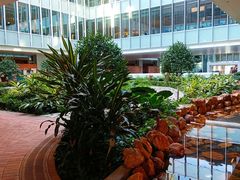 -香港大学