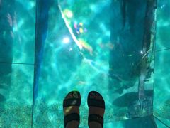-暹罗海洋世界