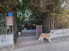 -豆舞咖啡(民乐路店)