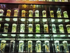 -广东中医药博物馆