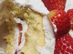 -喜杨洋草莓采摘园