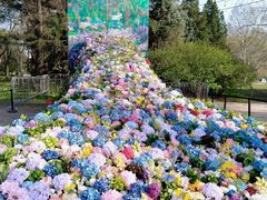 -上海共青森林公园