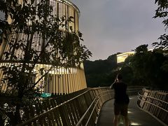 -福道