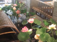 -紫腾大院·南京菜(江宁店)
