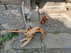 -齐王寨景区