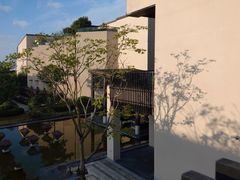 -上海崇明金茂凯悦酒店