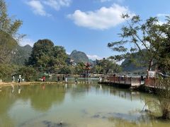 -靖西鹅泉风景区