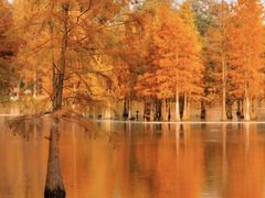 -白鹭湾湿地公园