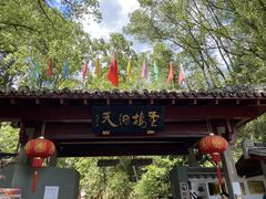 -灵栖洞天