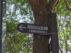 -阳台山自然风景区