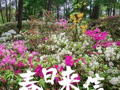 -临平公园(临平街道)
